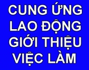 Cung Ứng Lao Động Và Giới Thiệu Việc Làm